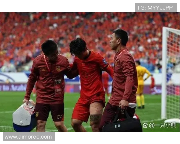 南京足球队在世界杯中的战术分析与表现评估 南京足球队在世界杯中的战术分析与表现评估