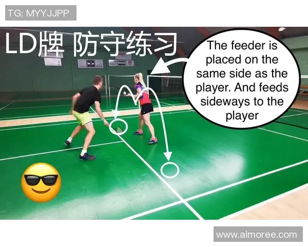 杭州羽毛球队区域防守战术解析与实战应用探讨 杭州羽毛球队区域防守战术解析与实战应用探讨