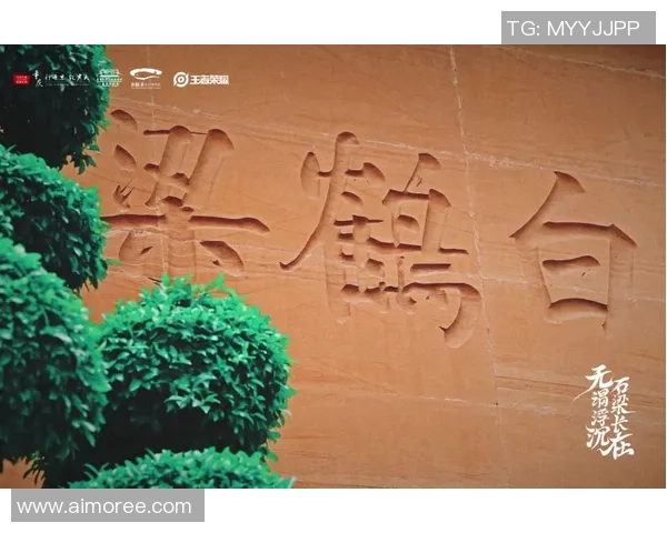 重庆排球队的奋斗与荣耀之路：杯赛特别报道揭秘他们的突破历程