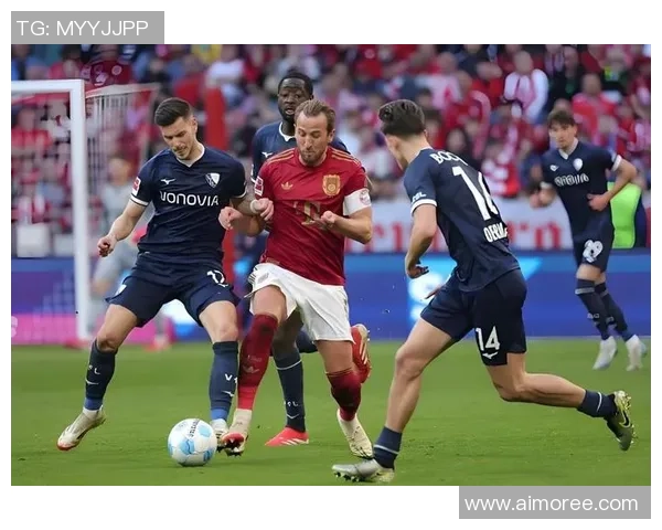 足球明星豪赌背后的故事与精彩瞬间全记录 足球明星豪赌背后的故事与精彩瞬间全记录