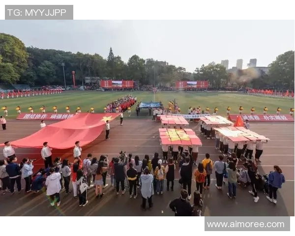 南京排球队在钻石联赛中的拼搏历程与荣耀时刻全景回顾