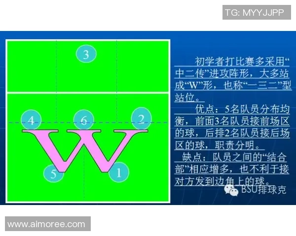成都排球队排球战术解析及其盯防体系的创新与应用探讨