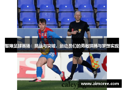 智障足球赛场：挑战与突破，运动员们的勇敢拼搏与梦想实现